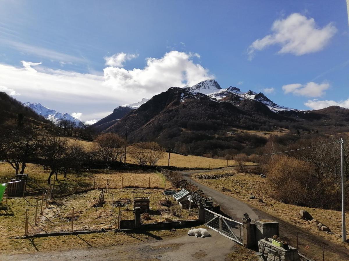 Aux D'Estaing Croises, Gite De Montagne Accessible A Tous 외부 사진